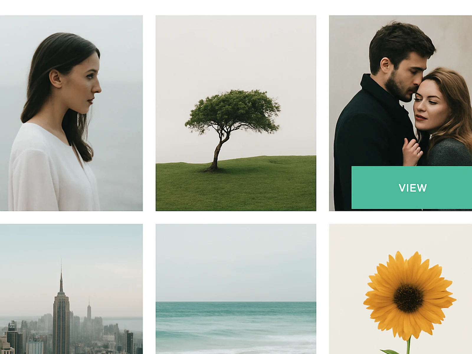 Portfolio Websites